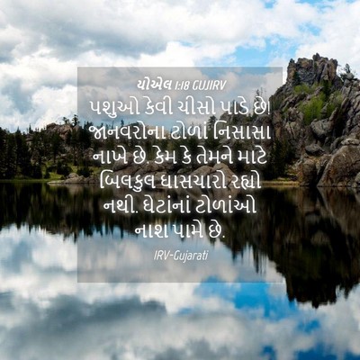 Picture 04 - યોએલ 1:18 GUJIRV - પશુઓ કેવી ચીસો - Bible Verse Picture