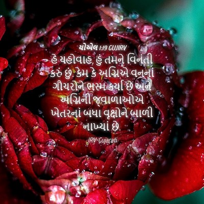 Picture 04 - યોએલ 1:19 GUJIRV - હે યહોવાહ, હું તમને - Bible Verse Picture