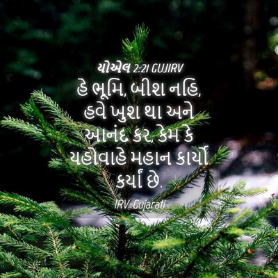 Picture 04 - યોએલ 2:21 GUJIRV - હે ભૂમિ, બીશ નહિ, - Bible Verse Picture
