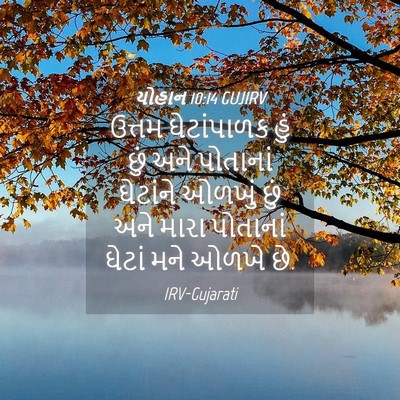 Picture 04 - યોહાન 10:14 GUJIRV - ઉત્તમ ઘેટાંપાળક - Bible Verse Picture