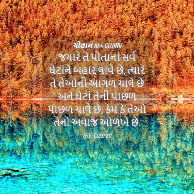 Picture 04 - યોહાન 10:4 GUJIRV - જયારે તે પોતાનાં - Bible Verse Picture