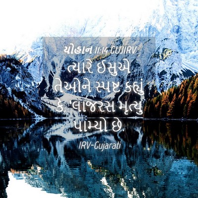 Picture 04 - યોહાન 11:14 GUJIRV - ત્યારે ઈસુએ તેઓને - Bible Verse Picture