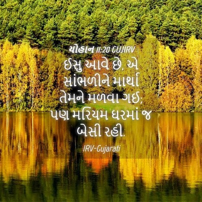 Picture 04 - યોહાન 11:20 GUJIRV - ઈસુ આવે છે, એ - Bible Verse Picture