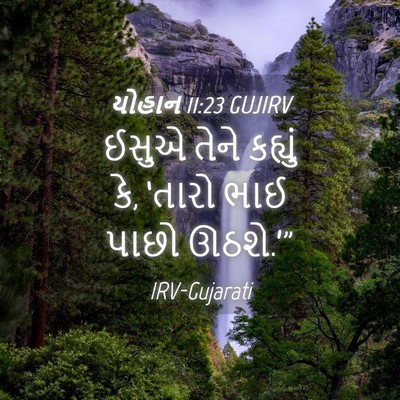 Picture 04 - યોહાન 11:23 GUJIRV - ઈસુએ તેને કહ્યું - Bible Verse Picture