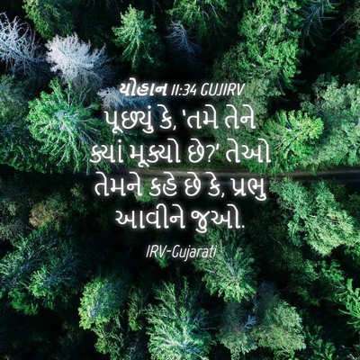 Picture 04 - યોહાન 11:34 GUJIRV - પૂછ્યું કે, ‘તમે - Bible Verse Picture