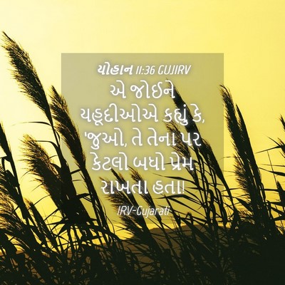 Picture 04 - યોહાન 11:36 GUJIRV - એ જોઈને યહૂદીઓએ - Bible Verse Picture