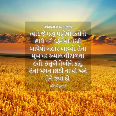 Picture 04 - યોહાન 11:44 GUJIRV - ત્યારે જે મૃત્યુ - Bible Verse Picture