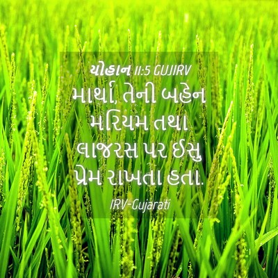 Picture 04 - યોહાન 11:5 GUJIRV - માર્થા, તેની બહેન - Bible Verse Picture