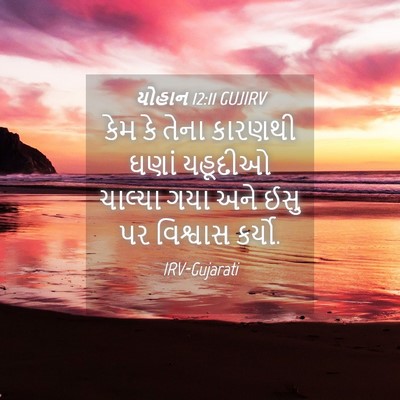 Picture 04 - યોહાન 12:11 GUJIRV - કેમ કે તેના કારણથી - Bible Verse Picture