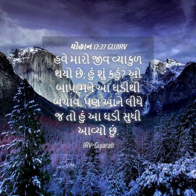 Picture 04 - યોહાન 12:27 GUJIRV - હવે મારો જીવ - Bible Verse Picture