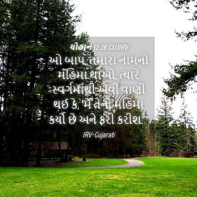 Picture 04 - યોહાન 12:28 GUJIRV - ઓ બાપ, તમારા નામનો - Bible Verse Picture