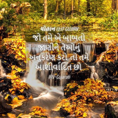 Picture 04 - યોહાન 13:17 GUJIRV - જો તમે એ બાબતો - Bible Verse Picture