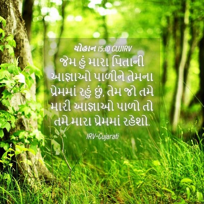 Picture 04 - યોહાન 15:10 GUJIRV - જેમ હું મારા - Bible Verse Picture