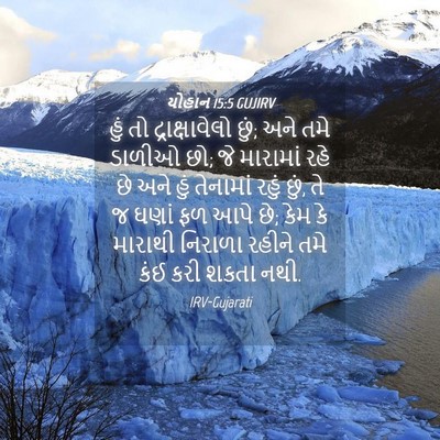Picture 04 - યોહાન 15:5 GUJIRV - હું તો - Bible Verse Picture