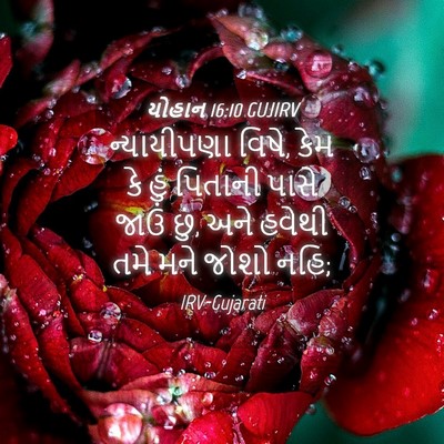 Picture 04 - યોહાન 16:10 GUJIRV - ન્યાયીપણા વિષે, - Bible Verse Picture