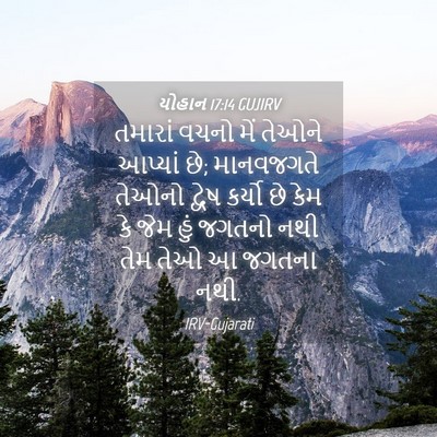 Picture 04 - યોહાન 17:14 GUJIRV - તમારાં વચનો મેં - Bible Verse Picture