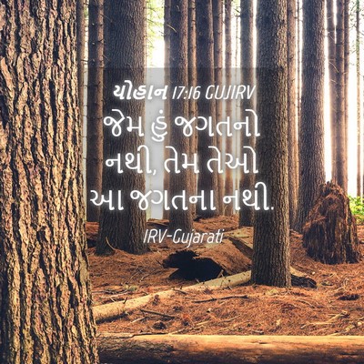 Picture 04 - યોહાન 17:16 GUJIRV - જેમ હું જગતનો નથી, - Bible Verse Picture