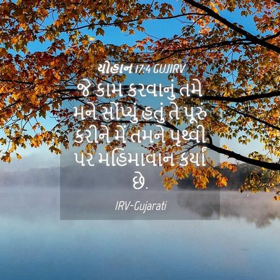 Picture 04 - યોહાન 17:4 GUJIRV - જે કામ કરવાનું તમે - Bible Verse Picture