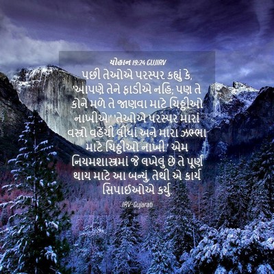 Picture 04 - યોહાન 19:24 GUJIRV - પછી તેઓએ પરસ્પર - Bible Verse Picture