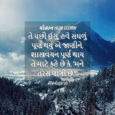 Picture 04 - યોહાન 19:28 GUJIRV - તે પછી ઈસુ, હવે - Bible Verse Picture