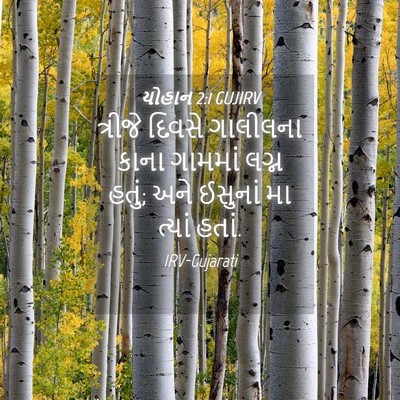 Picture 04 - યોહાન 2:1 GUJIRV - ત્રીજે દિવસે - Bible Verse Picture