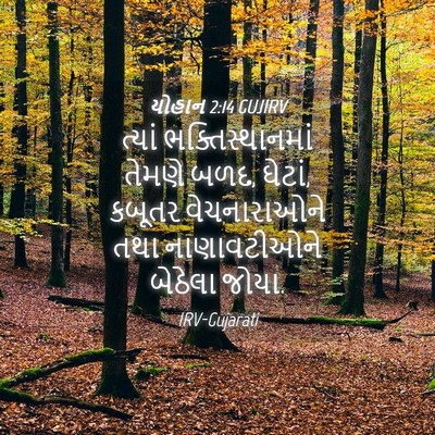 Picture 04 - યોહાન 2:14 GUJIRV - ત્યાં - Bible Verse Picture