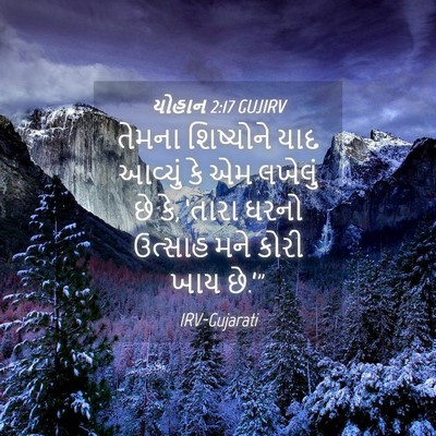 Picture 04 - યોહાન 2:17 GUJIRV - તેમના શિષ્યોને - Bible Verse Picture