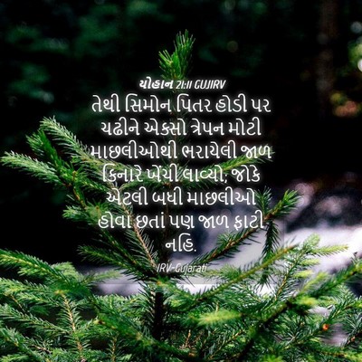 Picture 04 - યોહાન 21:11 GUJIRV - તેથી સિમોન પિતર - Bible Verse Picture