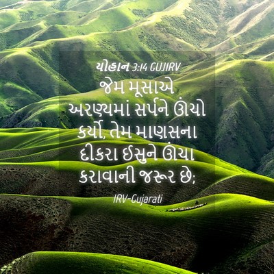 Picture 04 - યોહાન 3:14 GUJIRV - જેમ મૂસાએ - Bible Verse Picture