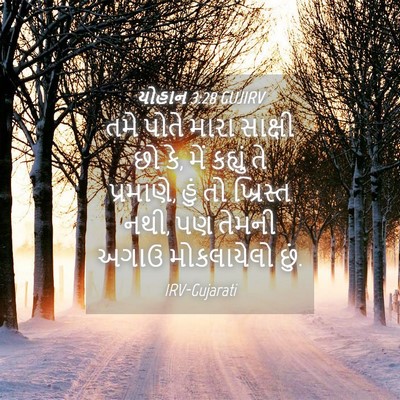 Picture 04 - યોહાન 3:28 GUJIRV - તમે પોતે મારા - Bible Verse Picture