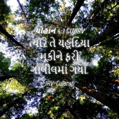 Picture 04 - યોહાન 4:3 GUJIRV - ત્યારે તે યહૂદિયા - Bible Verse Picture