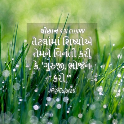 Picture 04 - યોહાન 4:31 GUJIRV - તેટલાંમાં શિષ્યોએ - Bible Verse Picture