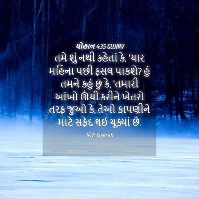 Picture 04 - યોહાન 4:35 GUJIRV - તમે શું નથી કહેતાં - Bible Verse Picture
