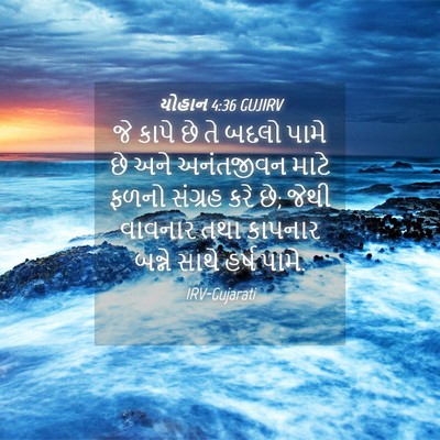 Picture 04 - યોહાન 4:36 GUJIRV - જે કાપે છે તે બદલો - Bible Verse Picture