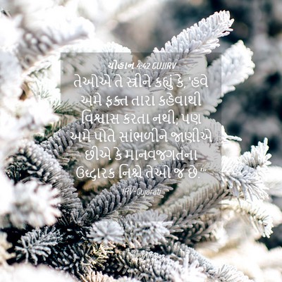 Picture 04 - યોહાન 4:42 GUJIRV - તેઓએ તે સ્ત્રીને - Bible Verse Picture