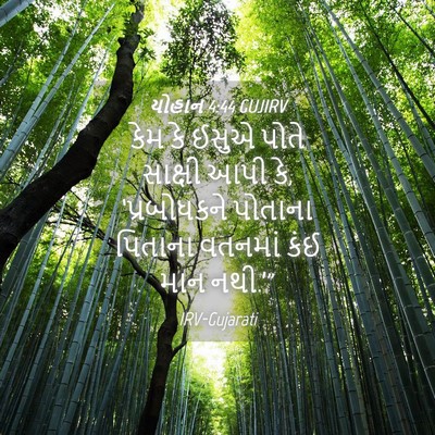 Picture 04 - યોહાન 4:44 GUJIRV - કેમ કે ઈસુએ પોતે - Bible Verse Picture