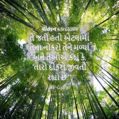 Picture 04 - યોહાન 4:51 GUJIRV - તે જતો હતો એટલામાં - Bible Verse Picture