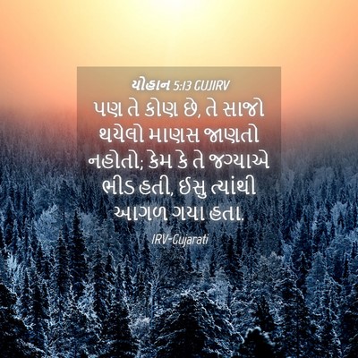 Picture 04 - યોહાન 5:13 GUJIRV - પણ તે કોણ છે, તે - Bible Verse Picture