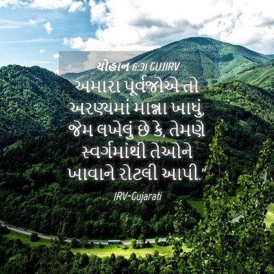 Picture 04 - યોહાન 6:31 GUJIRV - અમારા પૂર્વજોએ તો - Bible Verse Picture