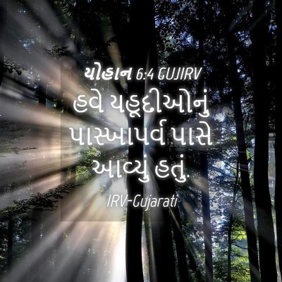 Picture 04 - યોહાન 6:4 GUJIRV - હવે યહૂદીઓનું - Bible Verse Picture