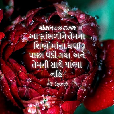 Picture 04 - યોહાન 6:66 GUJIRV - આ સાંભળીને તેમના - Bible Verse Picture