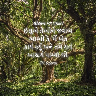 Picture 04 - યોહાન 7:21 GUJIRV - ઈસુએ તેઓને જવાબ - Bible Verse Picture