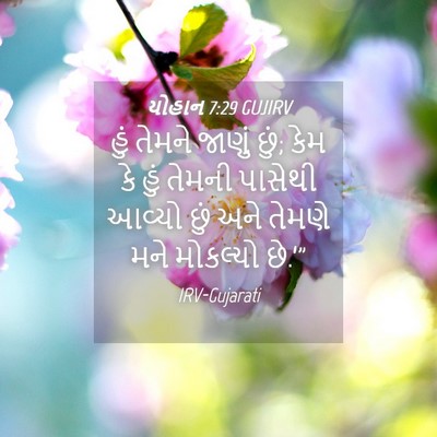 Picture 04 - યોહાન 7:29 GUJIRV - હું તેમને જાણું - Bible Verse Picture