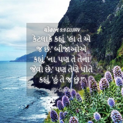 Picture 04 - યોહાન 9:9 GUJIRV - કેટલાકે કહ્યું, - Bible Verse Picture