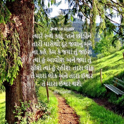 Picture 04 - રૂથ 1:16 GUJIRV - ત્યારે રૂથે - Bible Verse Picture