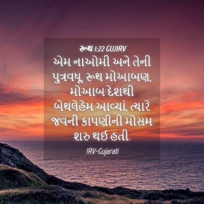 Picture 04 - રૂથ 1:22 GUJIRV - એમ નાઓમી અને તેની - Bible Verse Picture