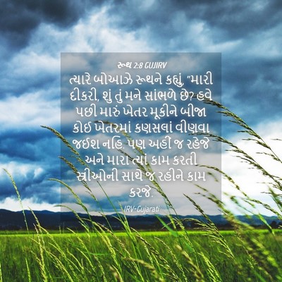 Picture 04 - રૂથ 2:8 GUJIRV - ત્યારે બોઆઝે - Bible Verse Picture