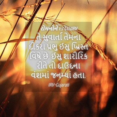 Picture 04 - રોમનોને 1:3 GUJIRV - તે સુવાર્તા તેમના - Bible Verse Picture