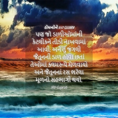Picture 04 - રોમનોને 11:17 GUJIRV - પણ જો ડાળીઓમાંની - Bible Verse Picture