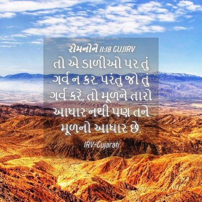 Picture 04 - રોમનોને 11:18 GUJIRV - તો એ ડાળીઓ પર તું - Bible Verse Picture